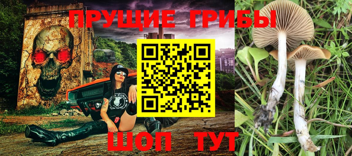 Бахчисарай  Псилоцибиновые грибы прущие грибы  купить   Вход с VPN 